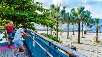 From the viewing deck, visitors can take in the whole view of the harbour front area including the sculptures, the palm trees and a sweeping view of Victoria Harbour.